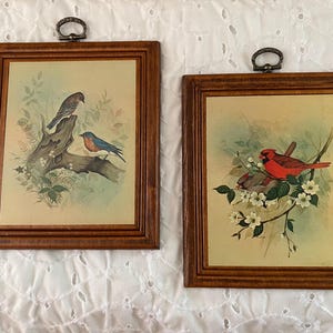 2 Small Vintage Bird Nature Prints ~ Wood Frames ~ Art ~ Wall Decor